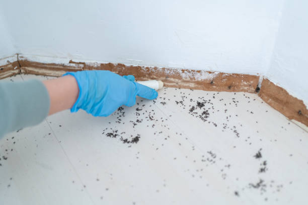 Best Best Pest Control Companies  in Orland, CA